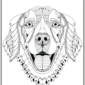 auto draft auto draft